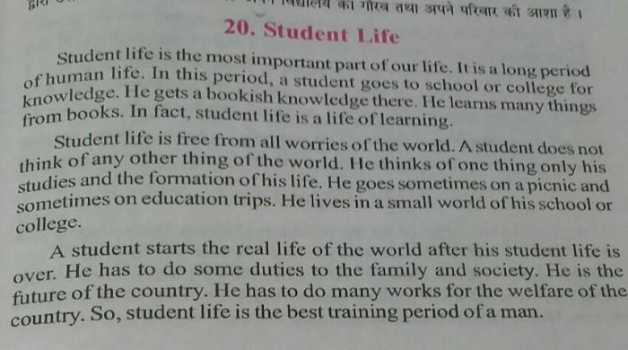Essay on Student Learning